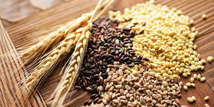 Công thức trộn ngũ cốc gà đá gồm những gì là chuẩn nhất? 10 Công thức trộn ngũ cốc cho gà đá trong chế độ biệt của gà chiến