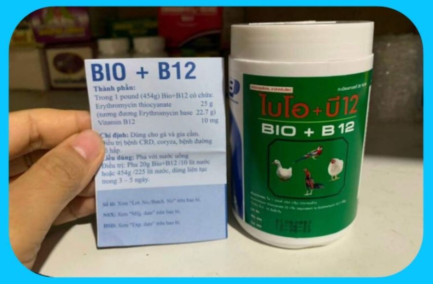 Có những sản phẩm thuốc úm gà con nào phổ biến? 6 Loại thuốc úm gà mang tên Bio